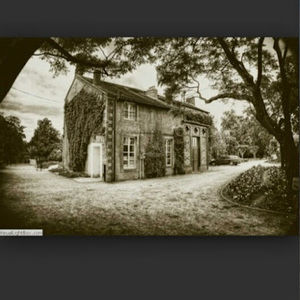 Meet your Posher, Samuel